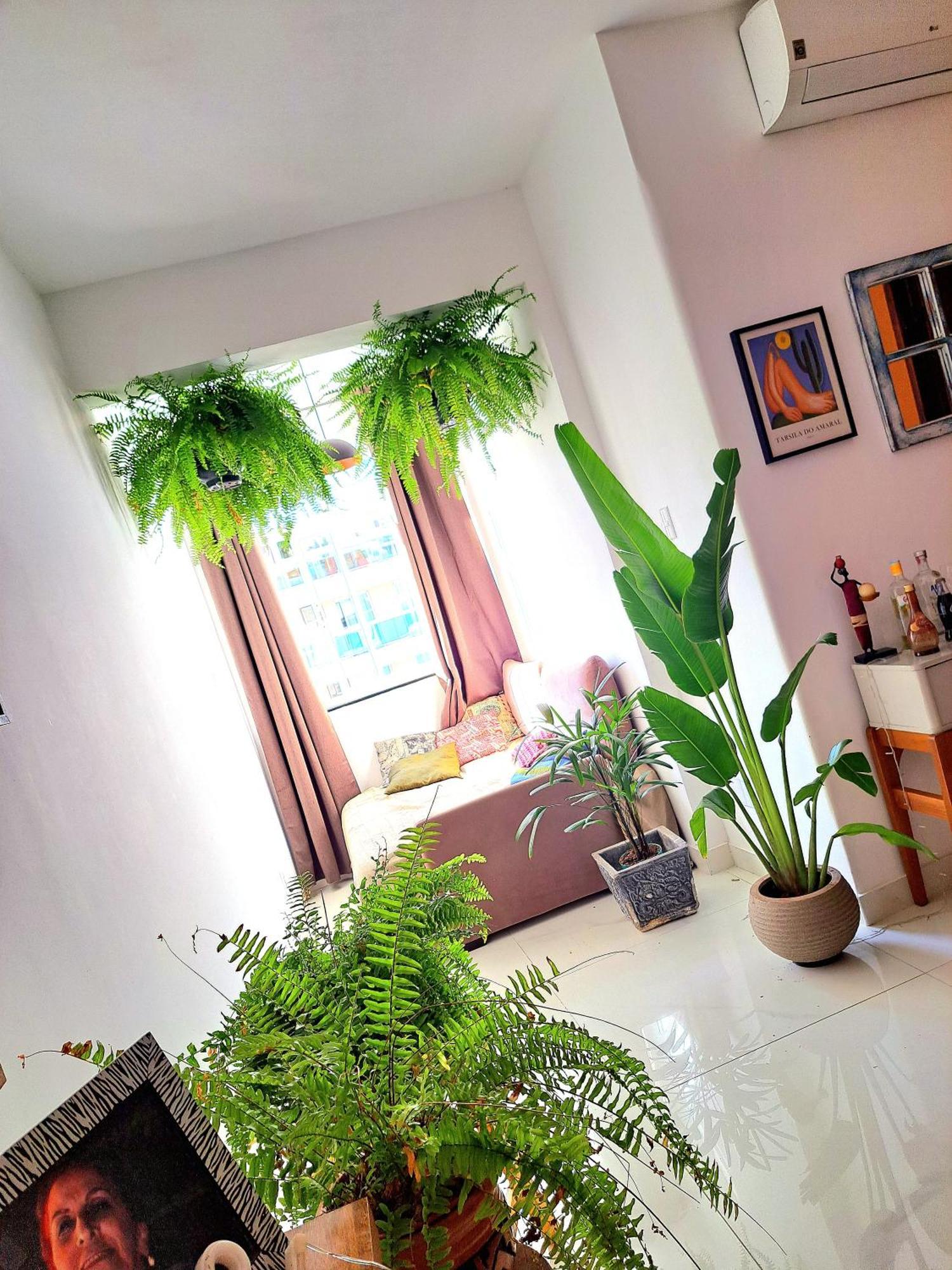 Quarto Com Anfitriao Rj Rio de Janeiro Luaran gambar